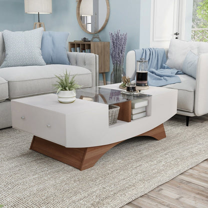 Contemporary Coffee Table With 2 Storage Drawers