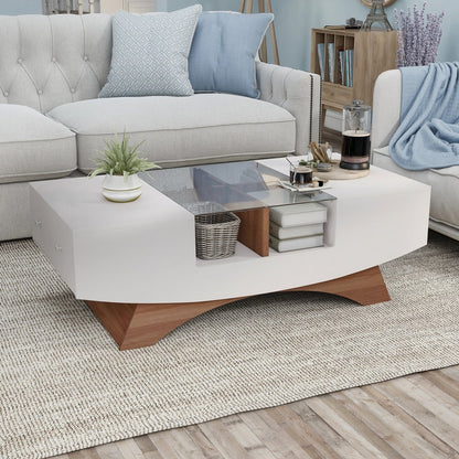 Contemporary Coffee Table With 2 Storage Drawers